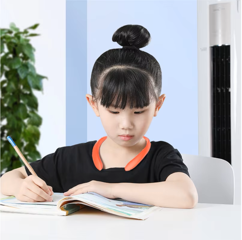 HOMEFISH HOMEFISH Smart Postur - đánh giá và giá Posture Corrector Back