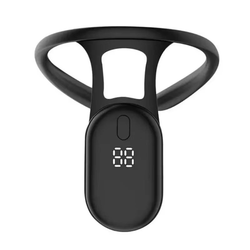 HOMEFISH HOMEFISH Smart Postur - đánh giá và giá Posture Corrector Back